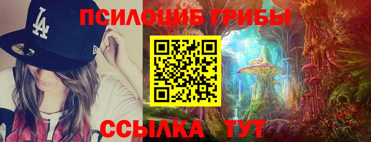 Галлюциногенные грибы мицелий  Вход с VPN  Мыски  Галлюциногенные грибы Psilocybe 