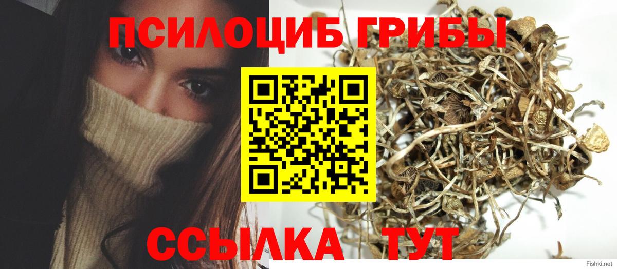 Псилоцибиновые грибы GOLDEN TEACHER Мыски